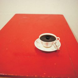 Object, 1981