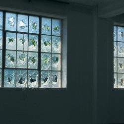 The Sydney Biennial, 1992